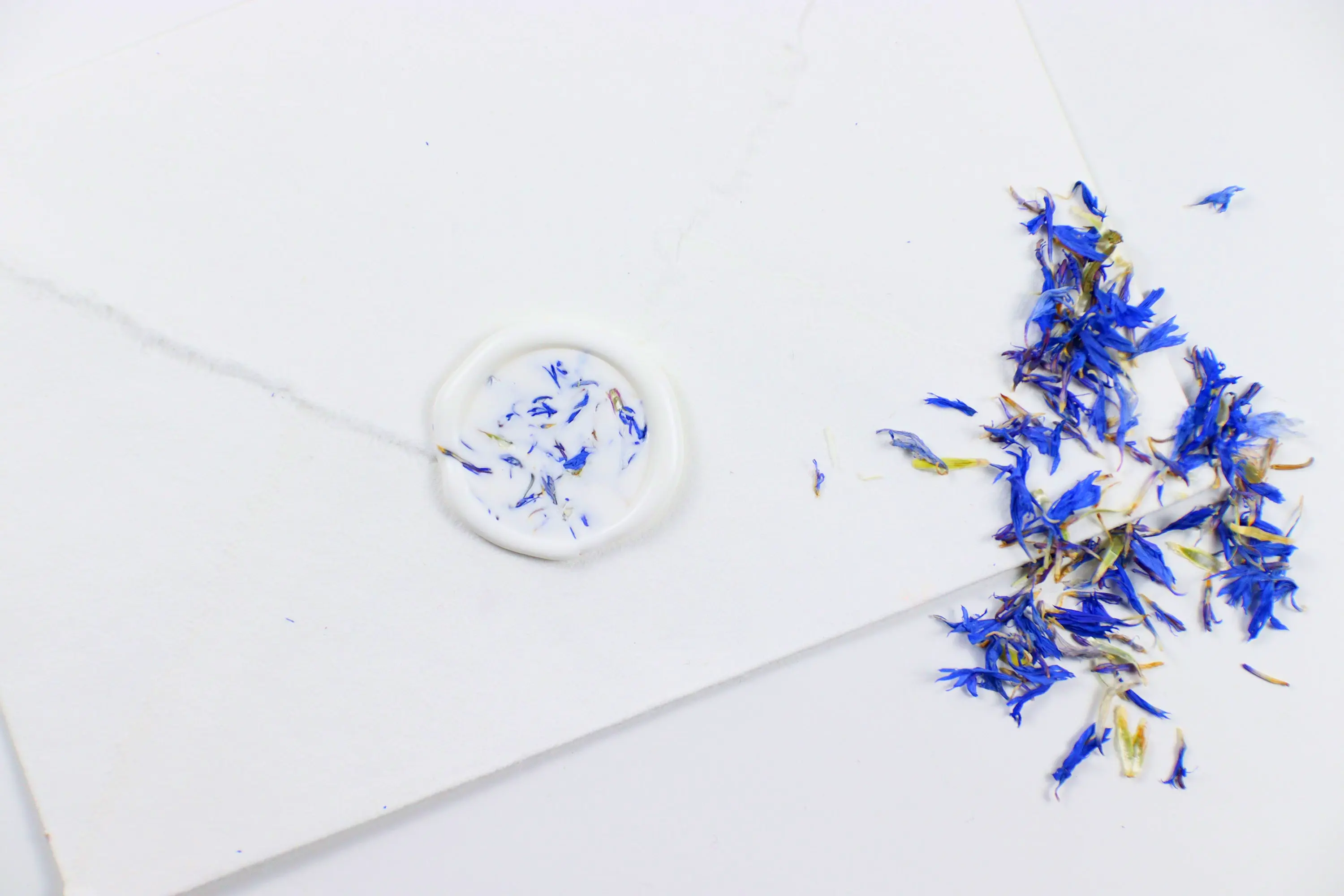 Blue Cornflower Wax Seal Pack of 10 or 25 for elegant letters or event decor.