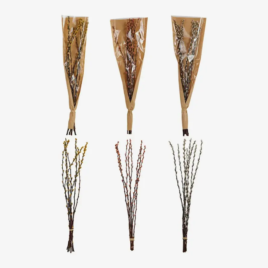 Natural willow bunch for rustic vase in living room by Creative Co op
