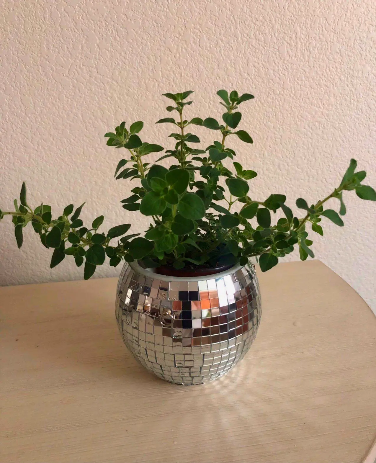 Disco ball hanging planter a trendy and reflective plant pot for modern home décor.