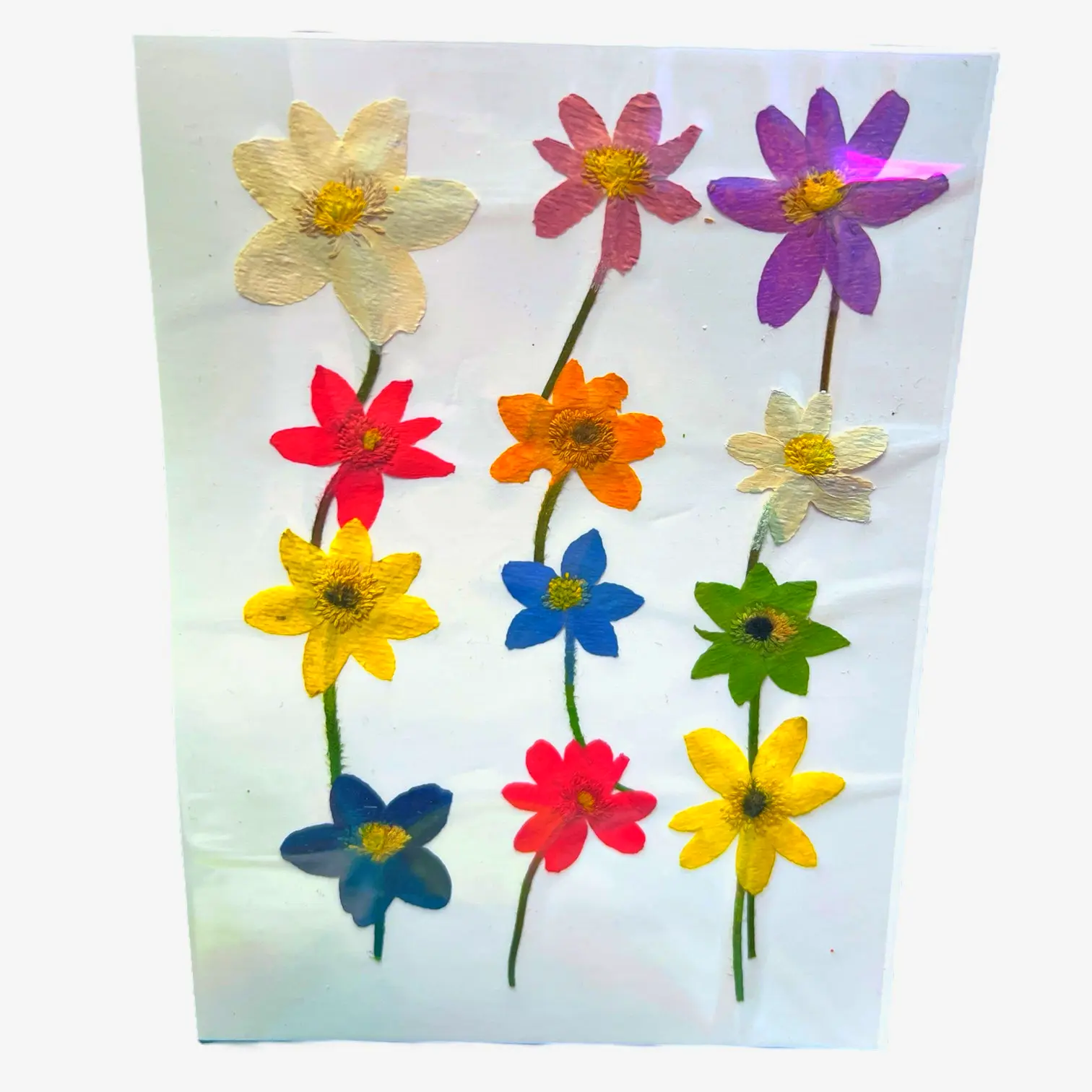Flowers In Your Hair pressed flower art whimsical and floral.
