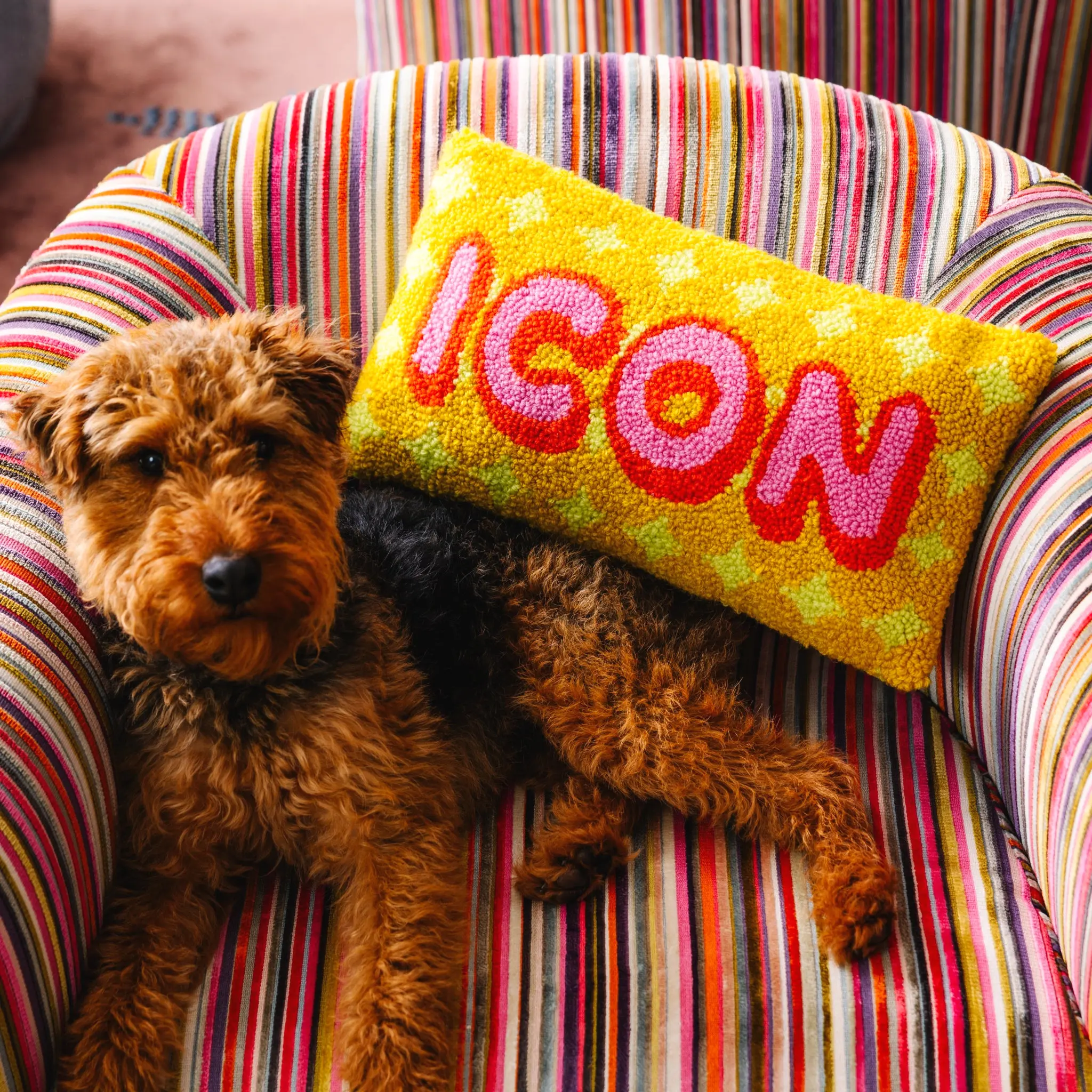 Icon hook pillow for stylish living room or bedroom.