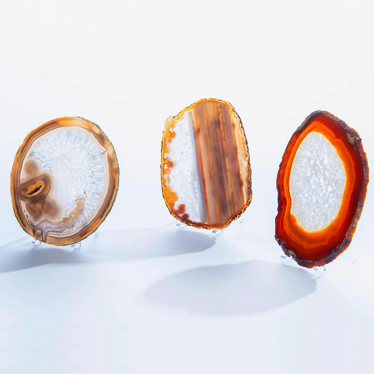 Natural agate slices geode wall art or decorative accents for bookshelf coffee table or office