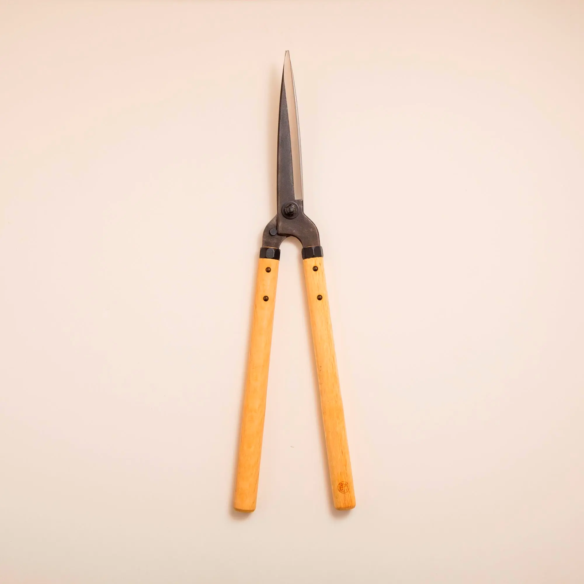 Professional garden shears for precise pruning and trimming of garden plants and shrubs