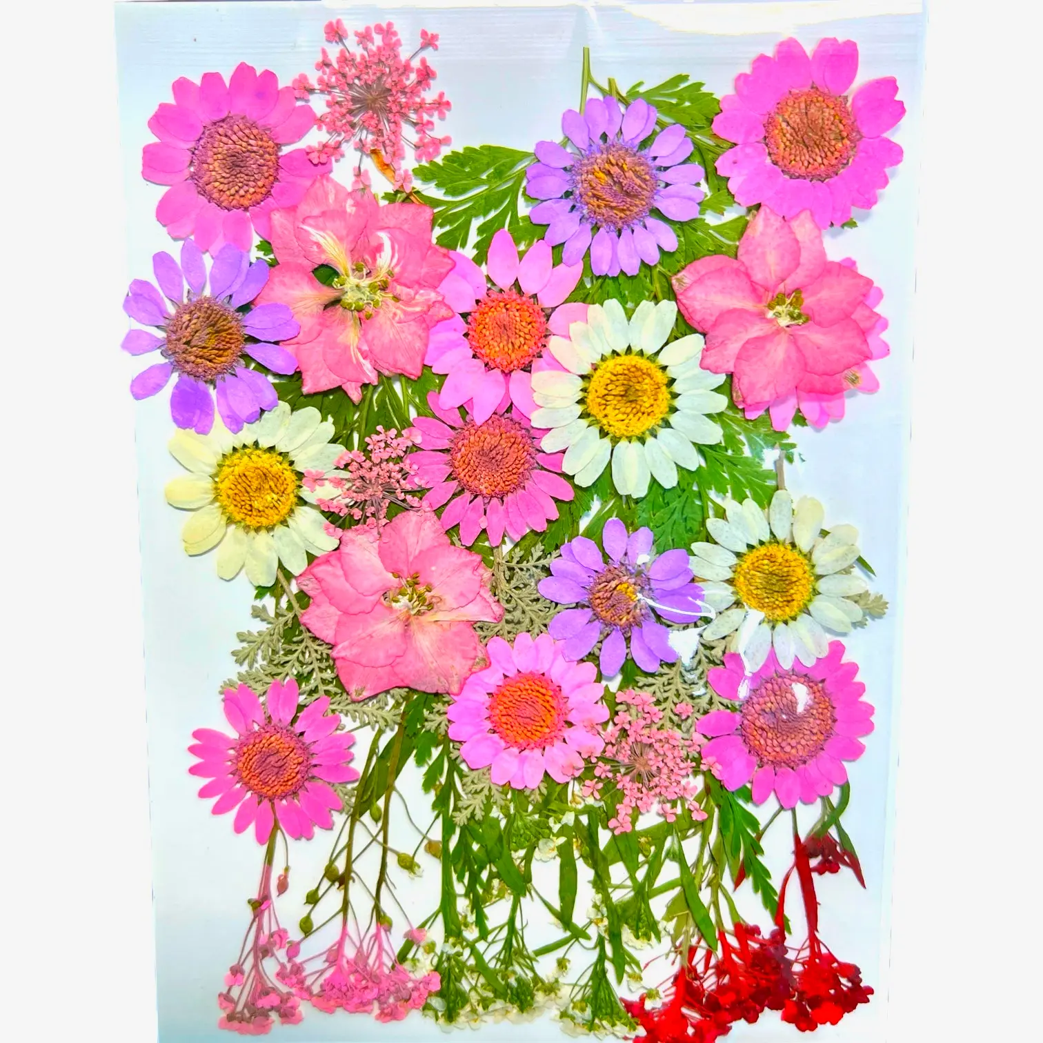 Pretty in Pink dried pressed flowers for home decor, perfect for bedroom, living room, or DIY resin crafts.
