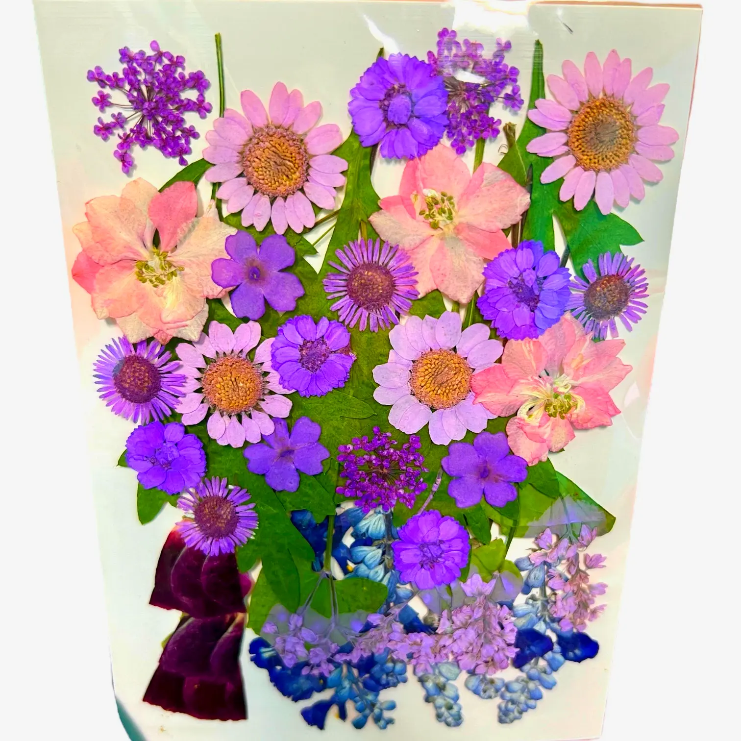 Purple Music vibrant dried pressed flowers, perfect for nature-inspired wall art and floral-themed home decor.